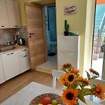 Mexicana Yellow * Ζαντάρ