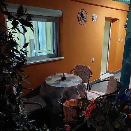 Mexicana Yellow Apartamento Zadar