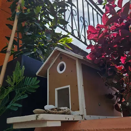 Apartamento Mexicana Yellow