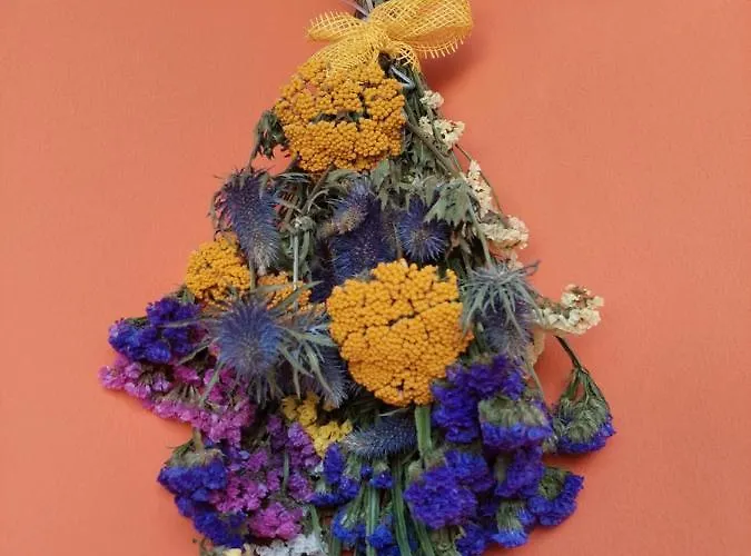 Mexicana Yellow זאדאר