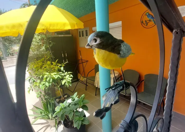 Mexicana Yellow Appartement