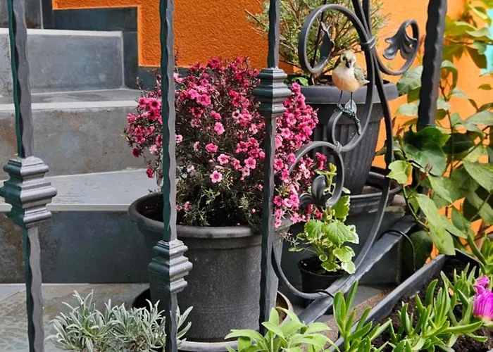 Mexicana Yellow Apartment