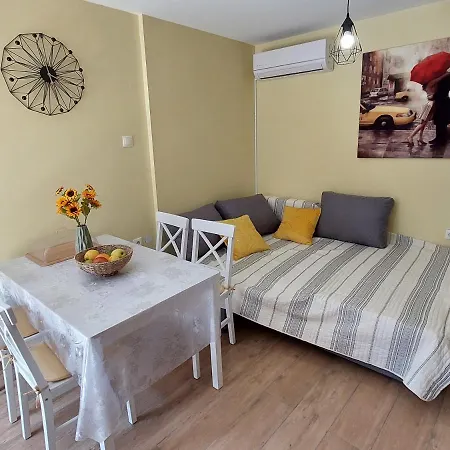 Mexicana Yellow * Zadar