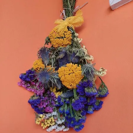 Mexicana Yellow 扎达尔