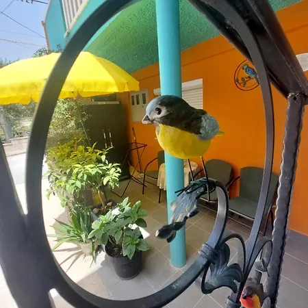 Mexicana Yellow Appartement