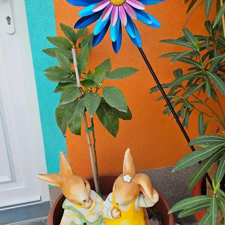 Mexicana Yellow Zadar