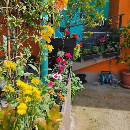 Apartment Mexicana Yellow