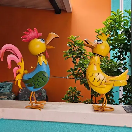 Mexicana Yellow Zadar