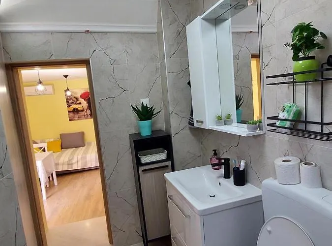 Mexicana Yellow * ザダル