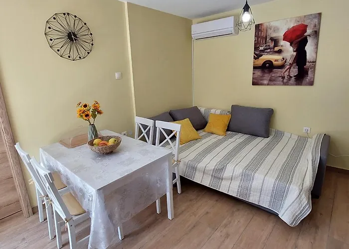 Mexicana Yellow * ザダル