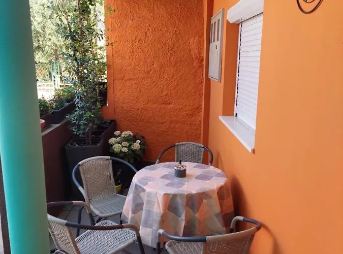 Mexicana Yellow ザダル