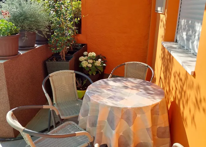 Mexicana Yellow * ザダル