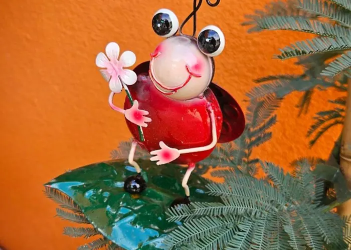 Mexicana Yellow Lejlighed *