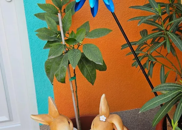 Mexicana Yellow זאדאר