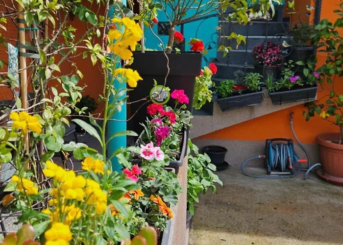 דירה Mexicana Yellow