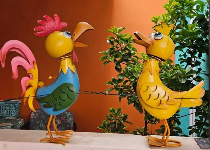 Mexicana Yellow Zadar