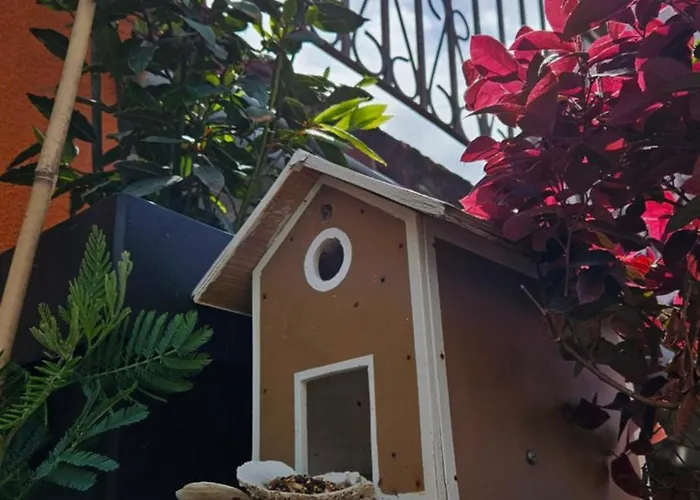 דירה Mexicana Yellow